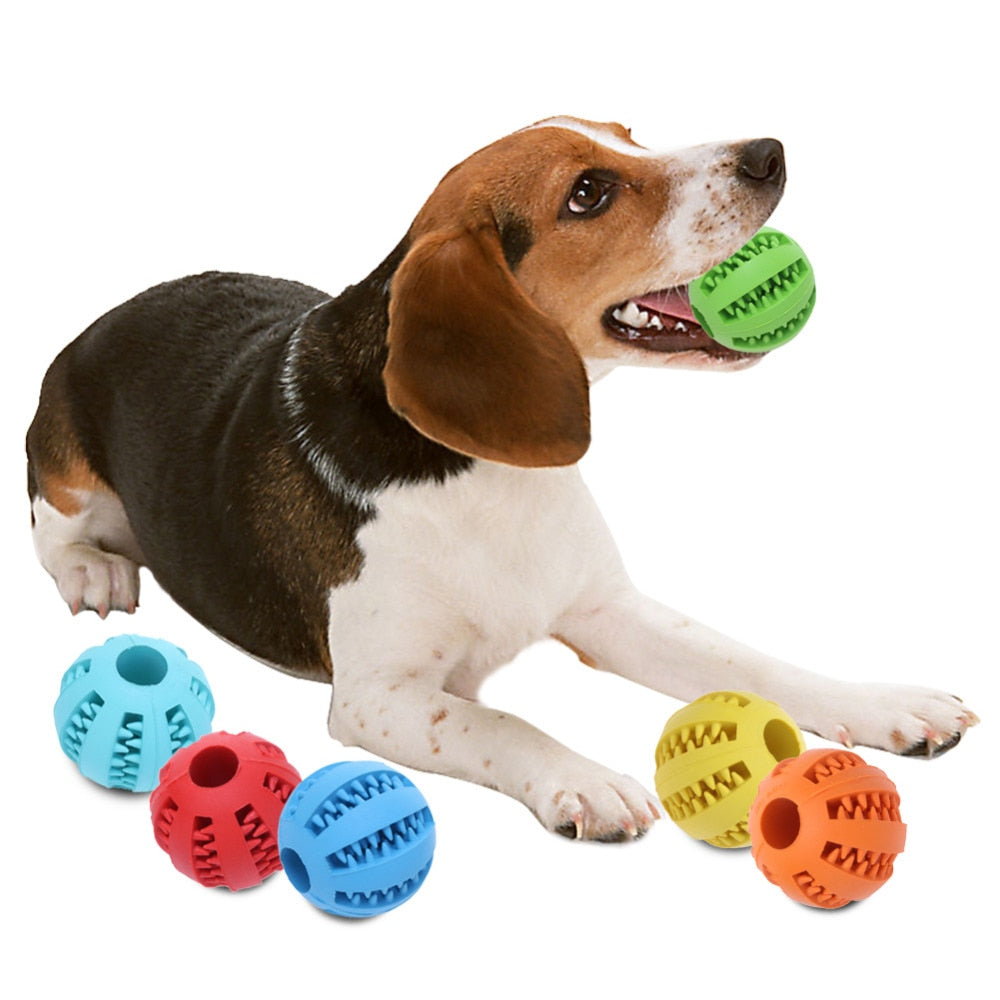 Special Dog Toys